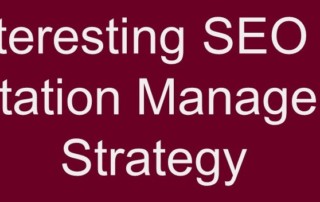 Interesting SEO & Reputation Management Strategy