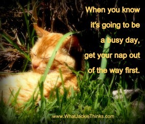 If you know it's going to be a busy day, get your nap out of the way first.