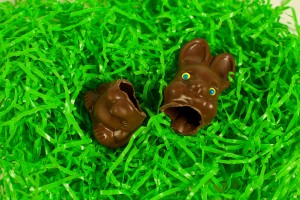 chocolate bunny broken