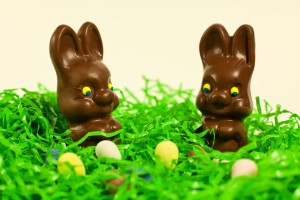 Chocolate bunnies with eggs