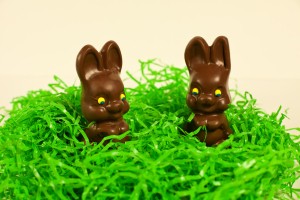 chocolate-bunny-tuscawilla-creative-services-1