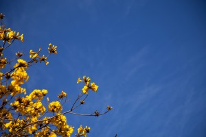 Faith-Works-Images-Collection-3-sky-sample