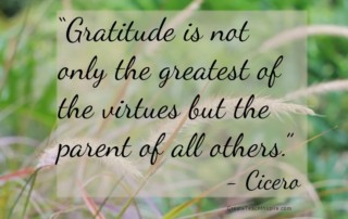 "Gratitude is not only the greatest of the virtues but the parent of all others.” – Cicero