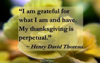"I am grateful for what I am and have. My thanksgiving is perpetual." – Henry David Thoreau