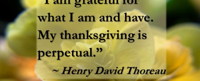 "I am grateful for what I am and have. My thanksgiving is perpetual." – Henry David Thoreau