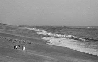 Back in Five - photo by Jerry D Clement