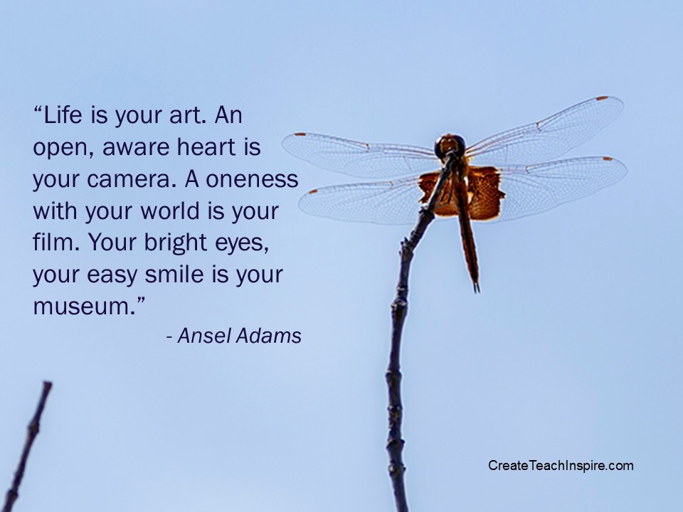 “Life is your art. An open, aware heart is your camera. A oneness with your world is your film. Your bright eyes, your easy smile is your museum.” - Ansel Adams