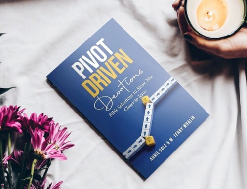 Book Review: Pivot Driven Devotions
